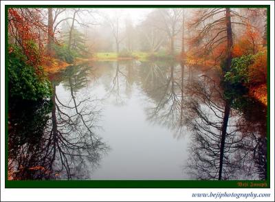 DSC_0068-a.jpg