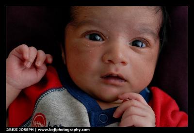 D200A1_040206_0095.jpg