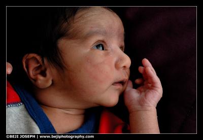 D200A1_040206_0104.jpg