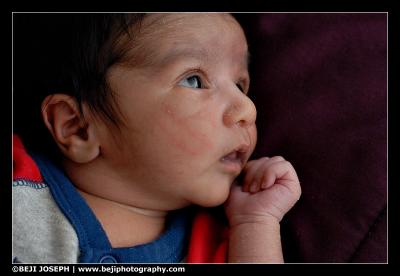 D200A1_040206_0105.jpg