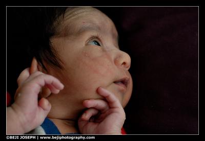 D200A1_040206_0110.jpg