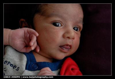 D200A1_040206_0111.jpg