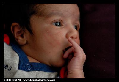 D200A1_040206_0112.jpg
