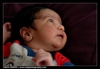 D200A1_040206_0114.jpg