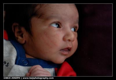 D200A1_040206_0116.jpg