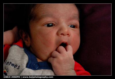 D200A1_040206_0121.jpg