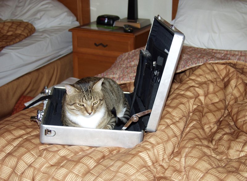 This Gives A Whole New Meaning To The Term Lap Top.