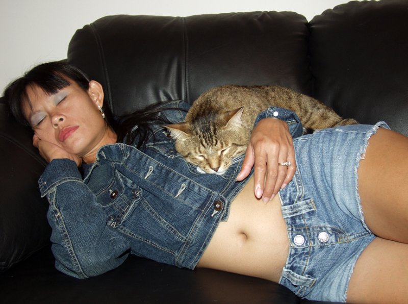 Eve Very Tired From Modeling..Kitty Very Tired From Helping