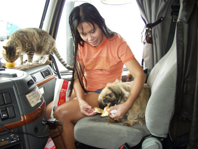 Still On The Road...With Eve, Precious And The Kitty.