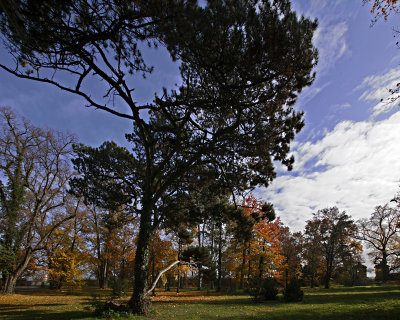 Herbst Impression