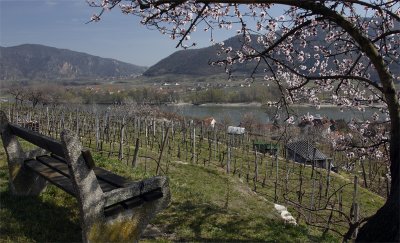 Wachau