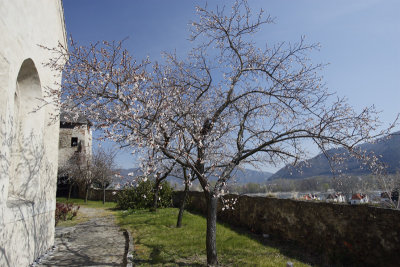 Wachau