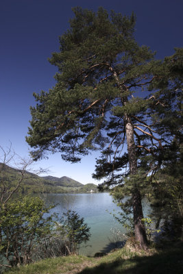 Fuschl am See