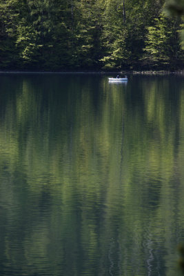 Fuschl am See