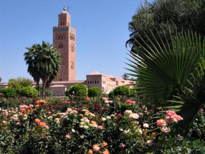 Marrakech La Koutoubia_7705.jpg
