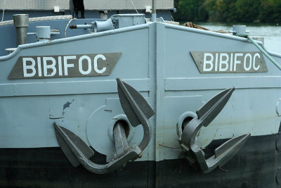 Bibifoc_3636r.jpg