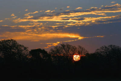 Sunrise #2 out my back door
