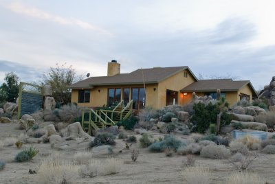 Joshua Tree Oasis