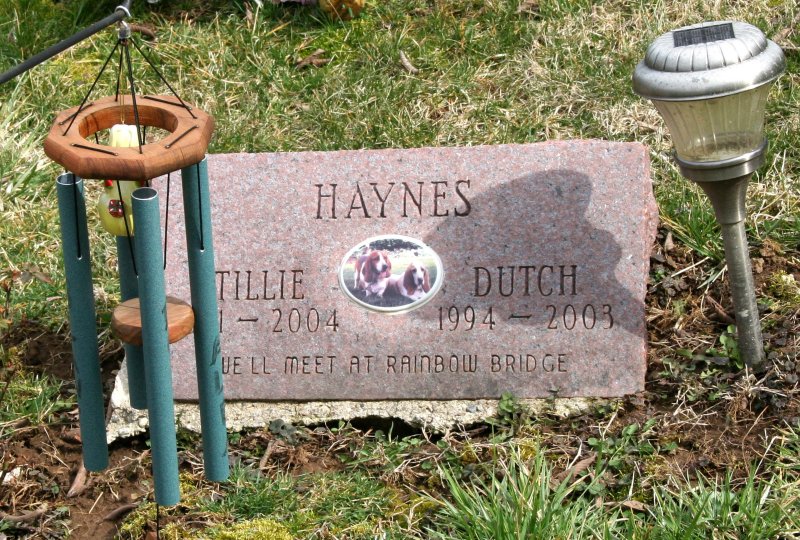 Pet Cemetary  #4