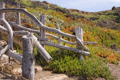 Beach Steps at Moonstone Beach