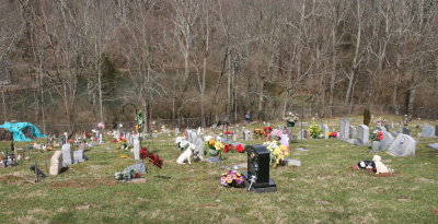 Pet Cemetary in Fayette Co. Kentucky
