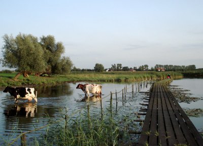 Sint Eloois