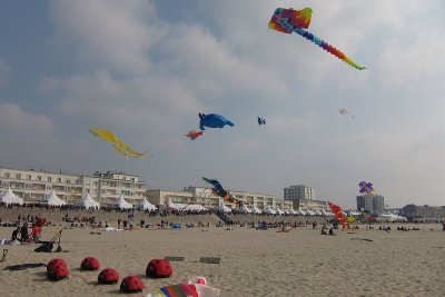 IMG_1832_web.jpg