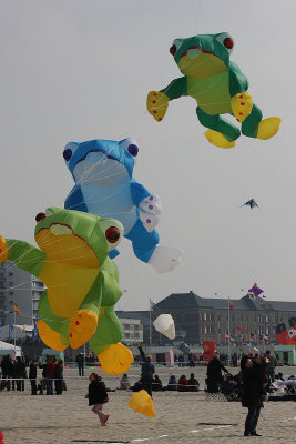 IMG_9804_web.jpg