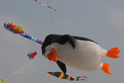 IMG_9806_web.jpg