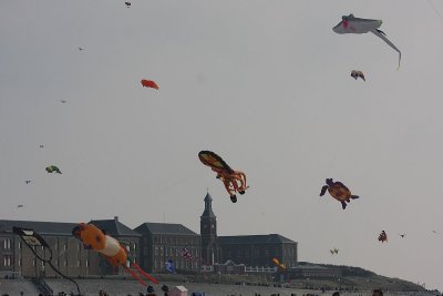 IMG_9811_web.jpg