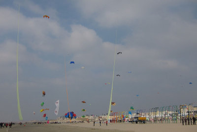 IMG_1846_web.jpg