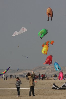 IMG_9815_web.jpg