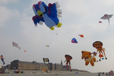 IMG_1854_web.jpg