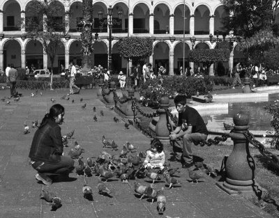 plaza de armas