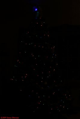 Christmas Tree (3911)