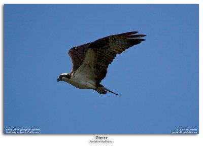 img_00057.jpg