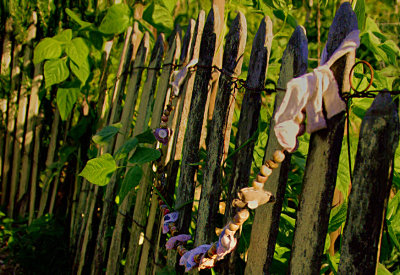 beads on cloth_ protect this fence_*sun almost gone*