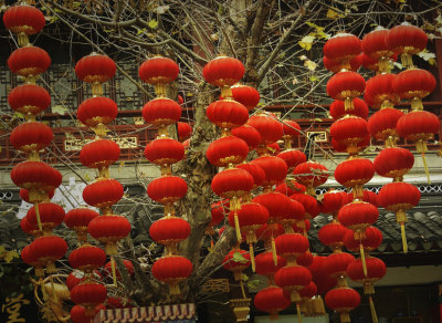 red lanterns swing in the winter cold_China