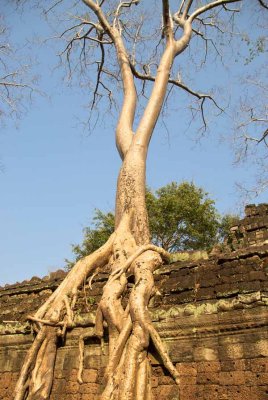 Angkor Wat sunset