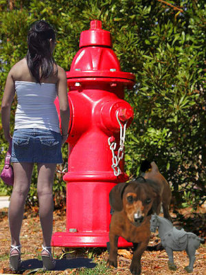 hydrant-dog-chang-hilmer-girl.jpg