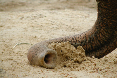 national_zoo