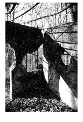 shadows