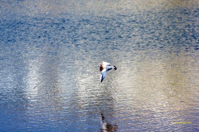 IMG_5365x.jpg