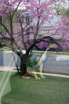 IMG0008.jpg