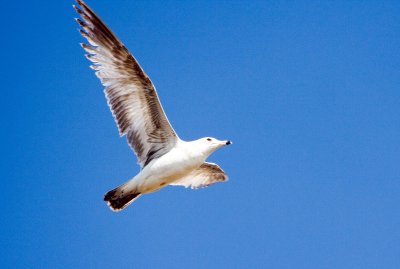 IMG_5344crop.jpg
