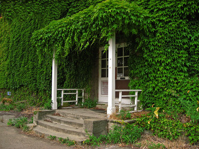 Vine covered abandoned office building, different view .. 4846