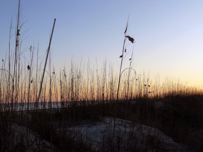 View from the Dunes