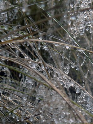 Upclose Ice