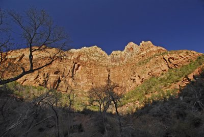 Backyard At Zion