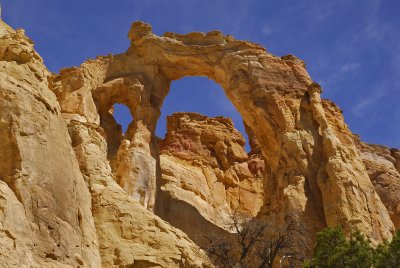 Grosvenor Arch